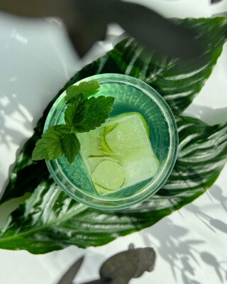 ElaVisual_Food_Green ElaVisual_Food_Green